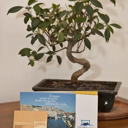 Bed & Breakfast Del Mare